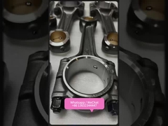 esposizione del prodotto