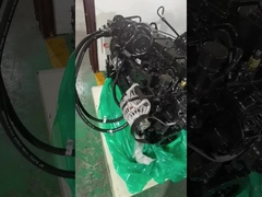 1998 Dodge per Cummins 12 24 valvola 5.9 Cummins kit di ricostruzione motore