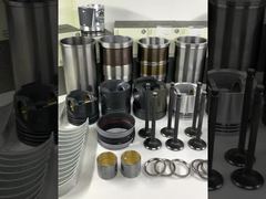 Marchio DAILY REFINING