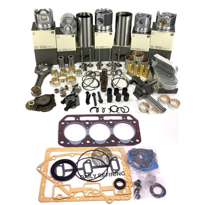 comprare Diesel F2L1011 F3L1011 F4L1011 Per motore Deutz Ricostituzione Kit di riparazione online manufacture
